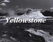 Yellowstone Gallery
